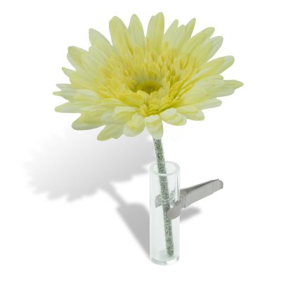 Car Vase - Gerbera cream