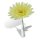 Car Vase - Gerbera cream