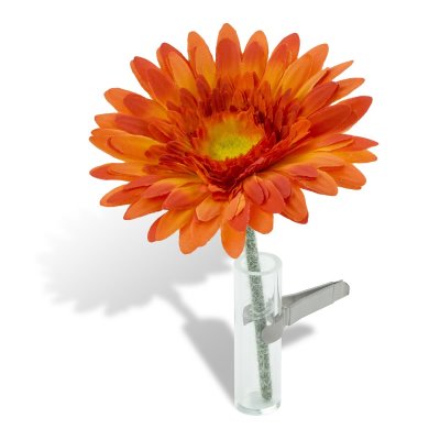 Autovase - Gerbera orange
